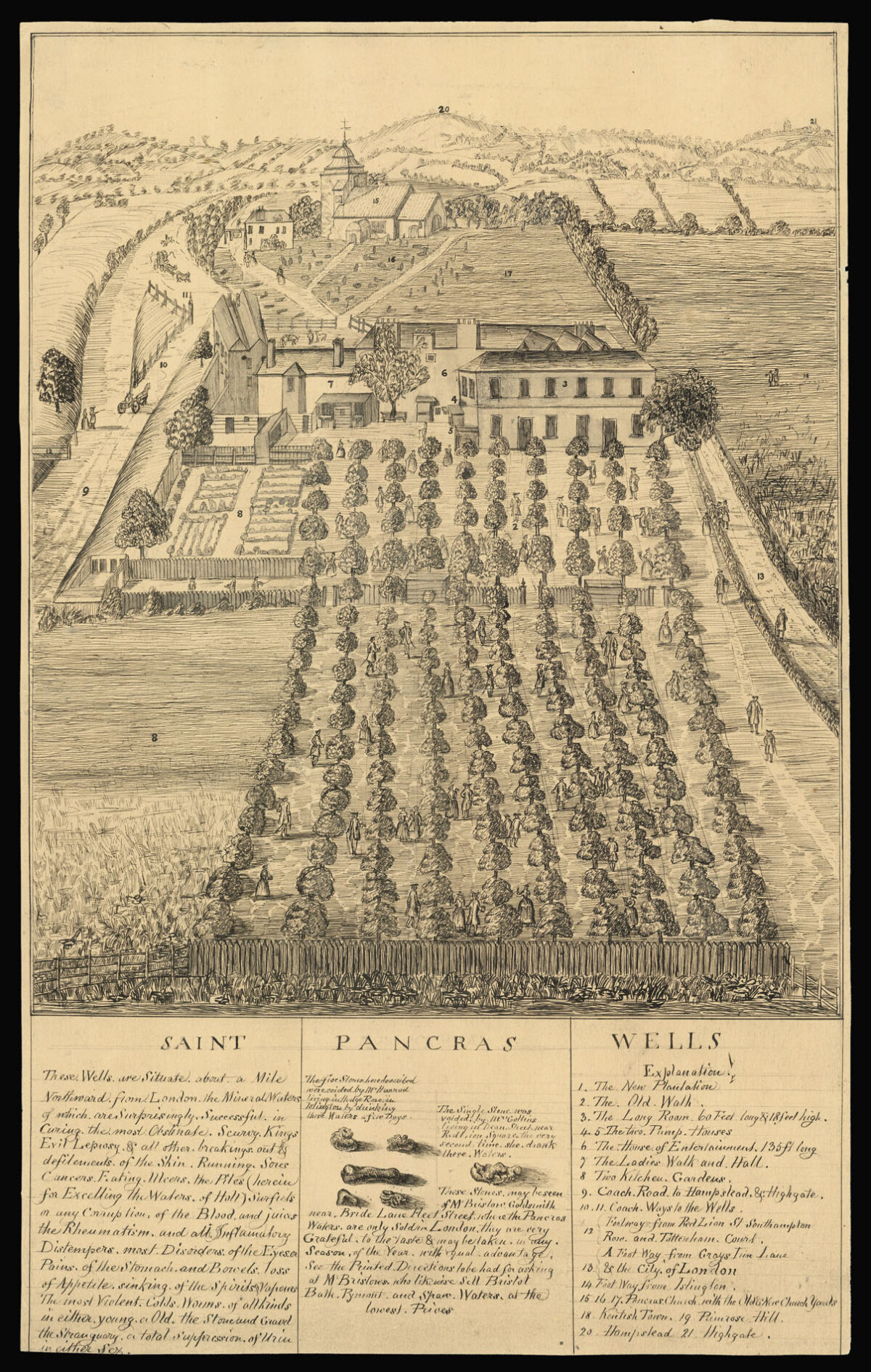 [Anonymous] Saint Pancras Wells.